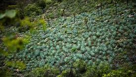 Hispanic Mexico has a new UNESCO Heritage Site